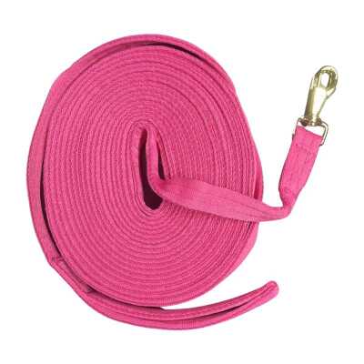 Lunge Rein 30 In Bag -hotpink