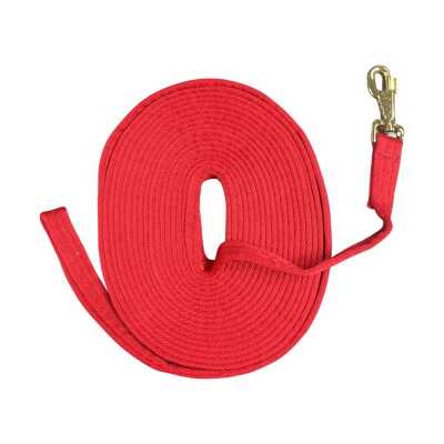 Lunge Rein 30 In Bag - Red