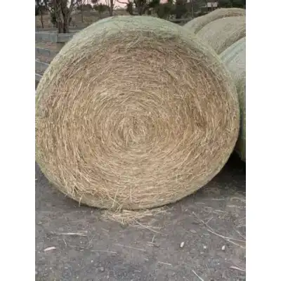 Grass hay round bale for horses and livestock available at Beaufort Animal Supplies
