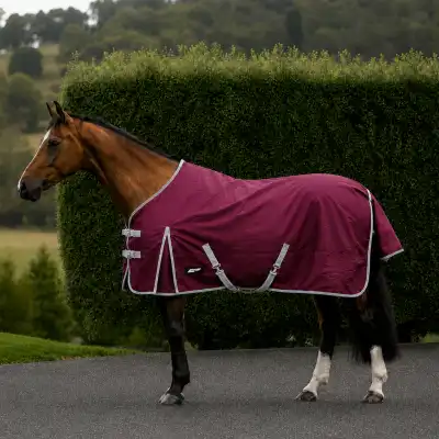 EquestPro Cherry 1200D waterproof horse rug with 180g fill